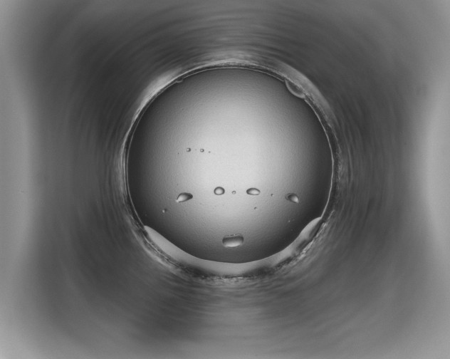 X0000115311242200911091130