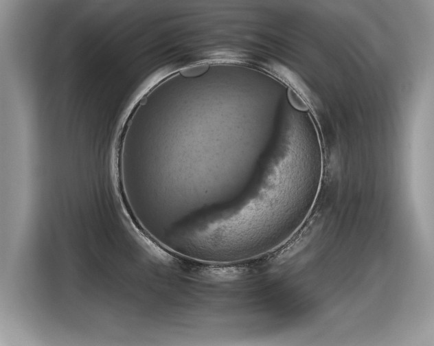 X0000115311243200911091130
