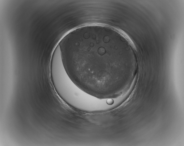 X0000115311244200911091130