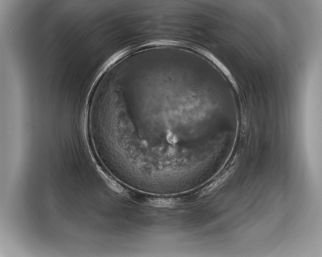 X0000115311245200911091130
