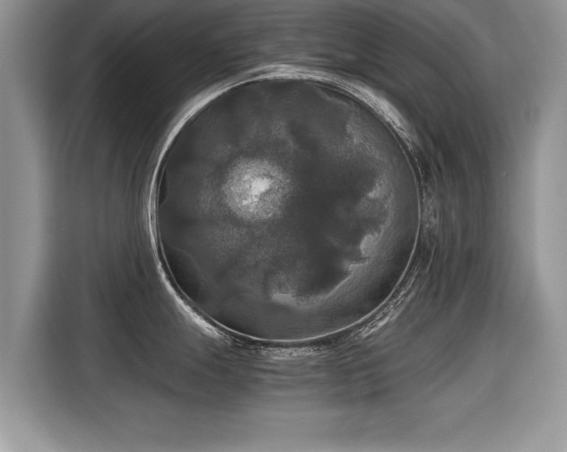 X0000115311247200911091130