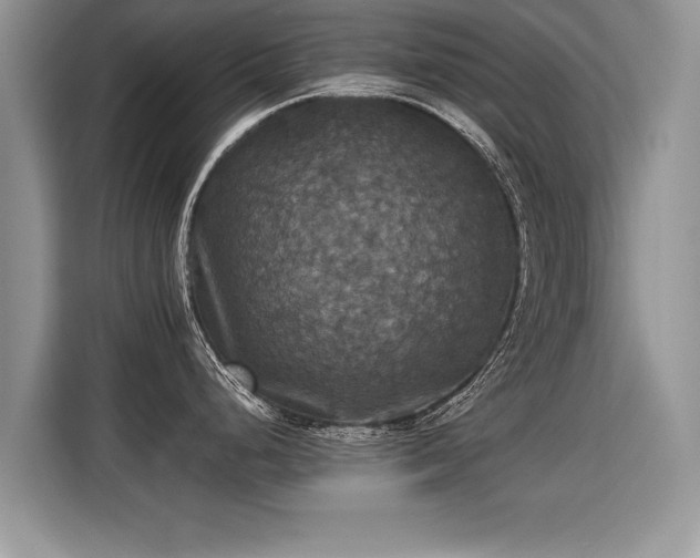 X0000115311248200911091130