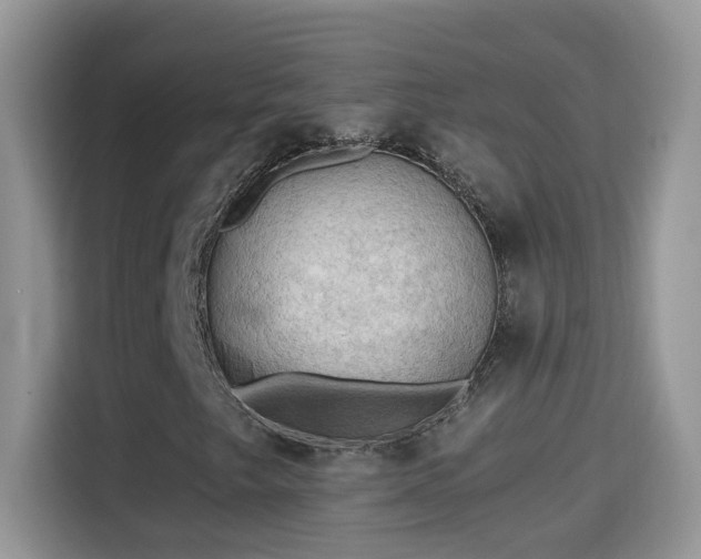 X0000115311249200911091130
