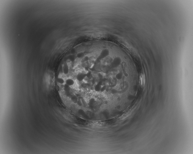 X0000115311251200911091130