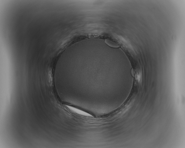 X0000115311252200911091130