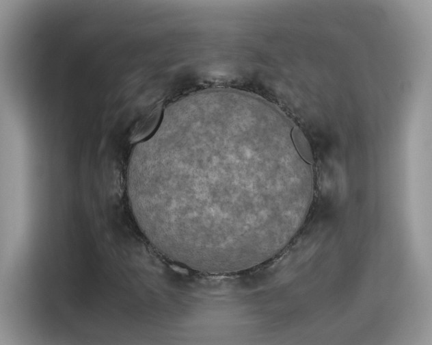 X0000115311253200911091130