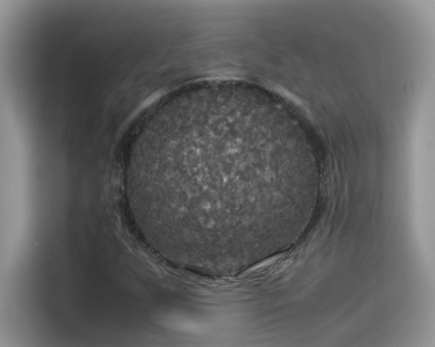 X0000115311255200911091130