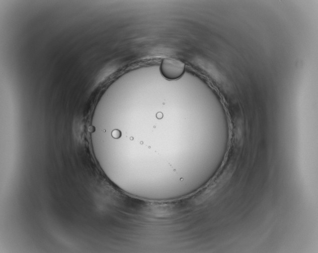 X0000115311258200911091130