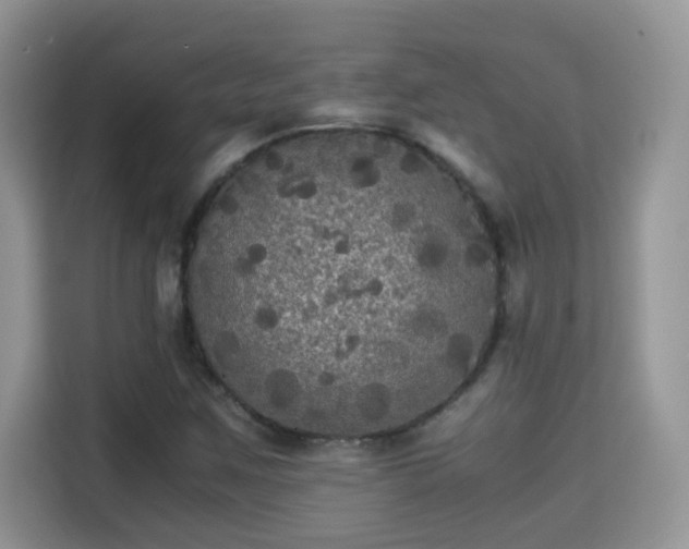 X0000115311259200911091130