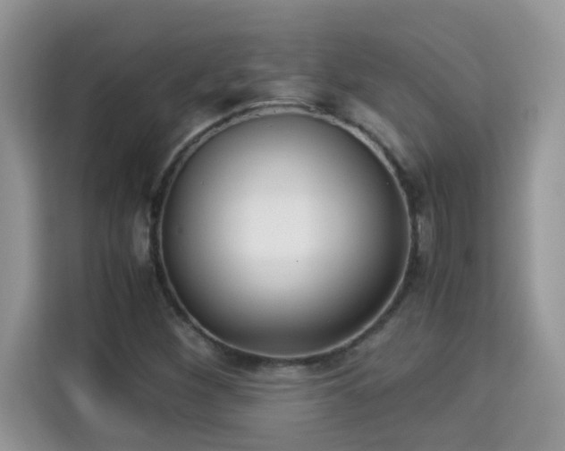 X0000115311260200911091130