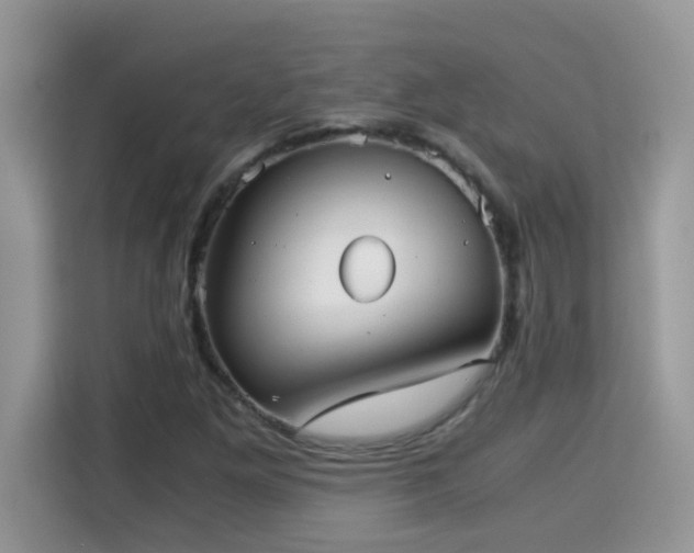 X0000115311261200911091130
