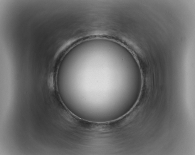 X0000115311262200911091130
