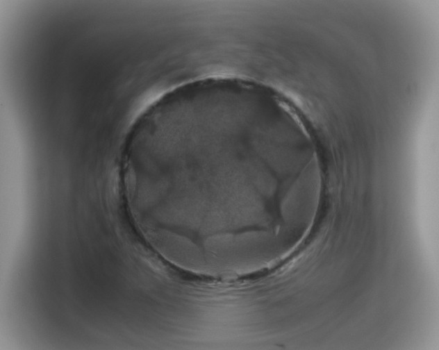 X0000115311263200911091129