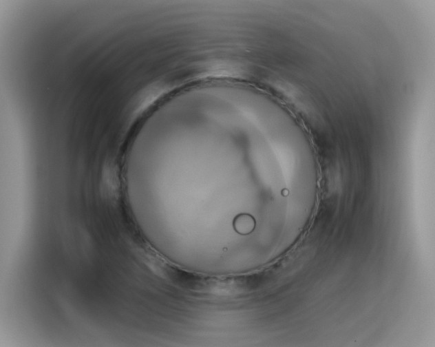 X0000115311266200911091129