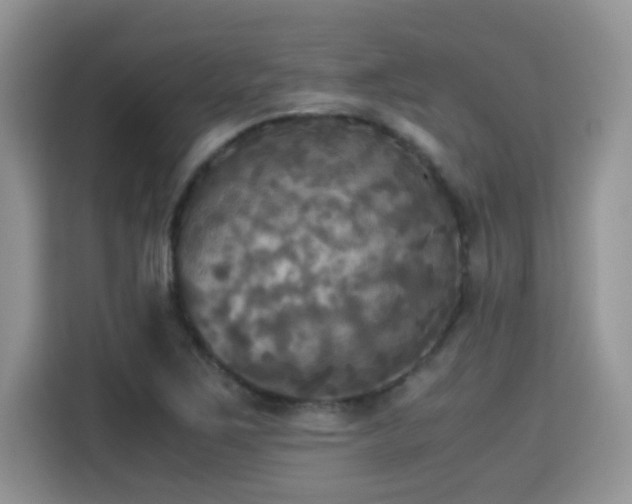 X0000115311267200911091129