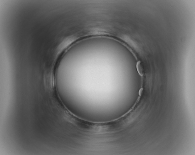 X0000115311269200911091129