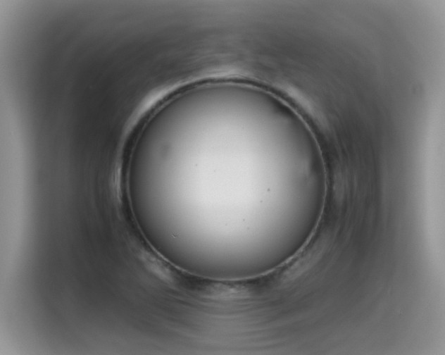 X0000115311270200911091129