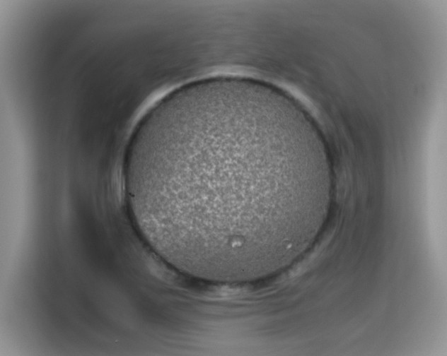 X0000115311271200911091129
