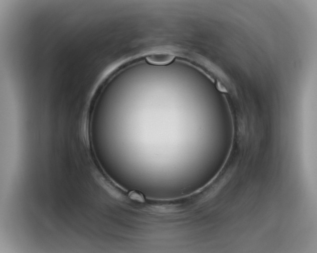 X0000115311272200911091129
