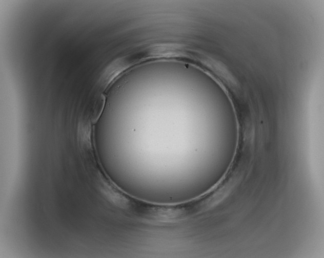 X0000115311273200911091129