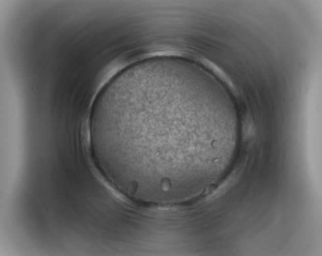 X0000115311274200911091129