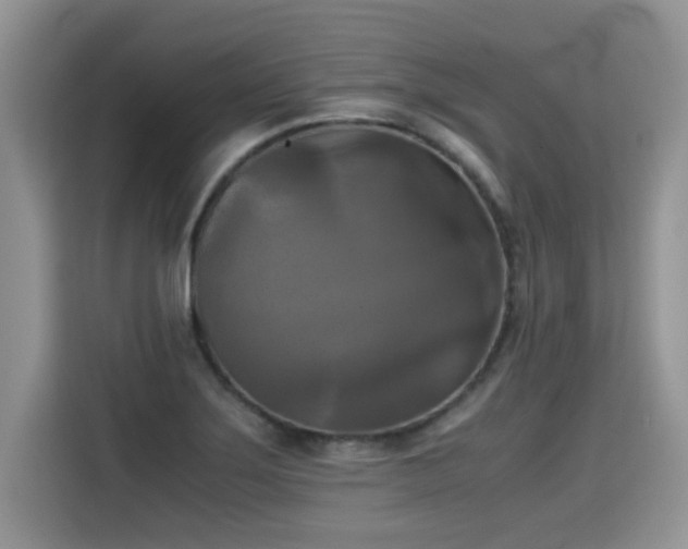 X0000115311275200911091129