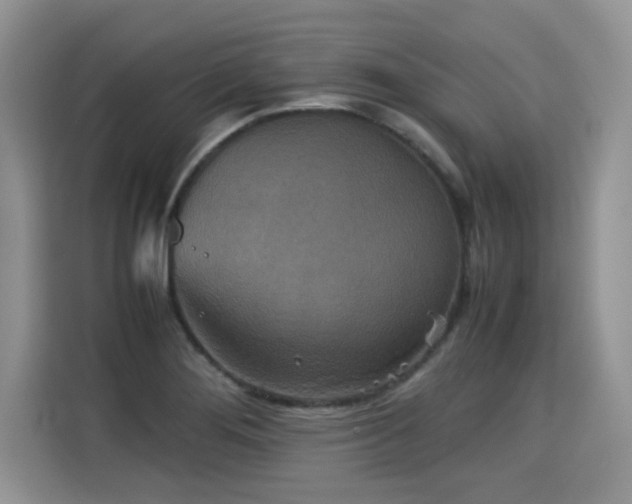 X0000115311276200911091129