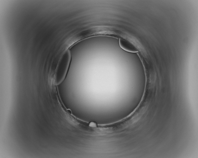 X0000115311281200911091129