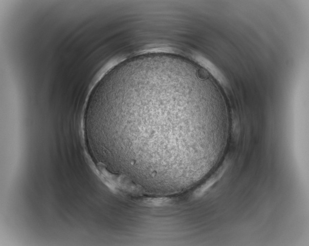 X0000115311282200911091129