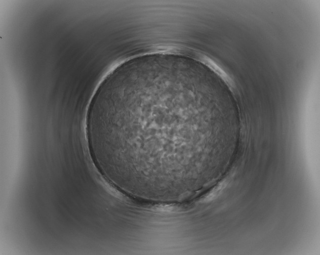 X0000115311283200911091129