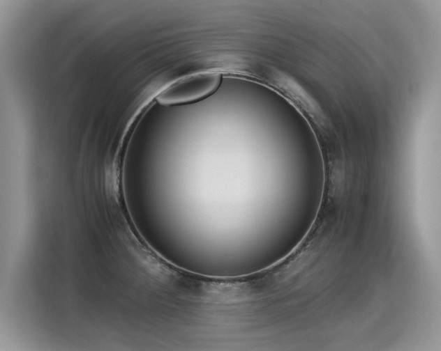 X0000115311284200911091129