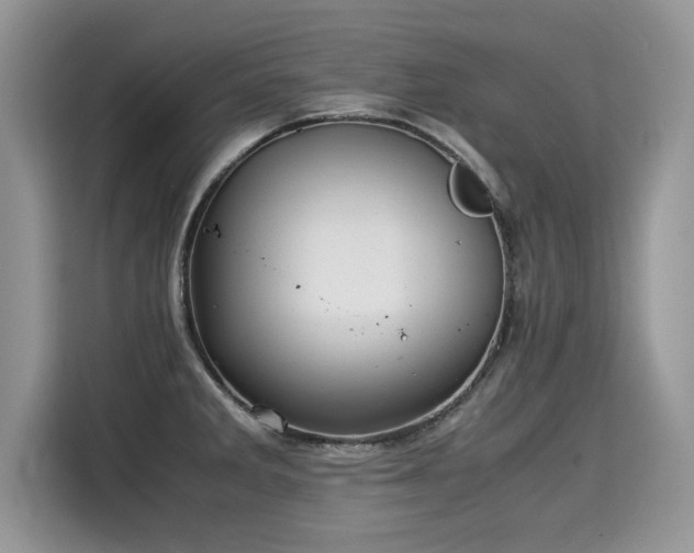 X0000115311285200911091129