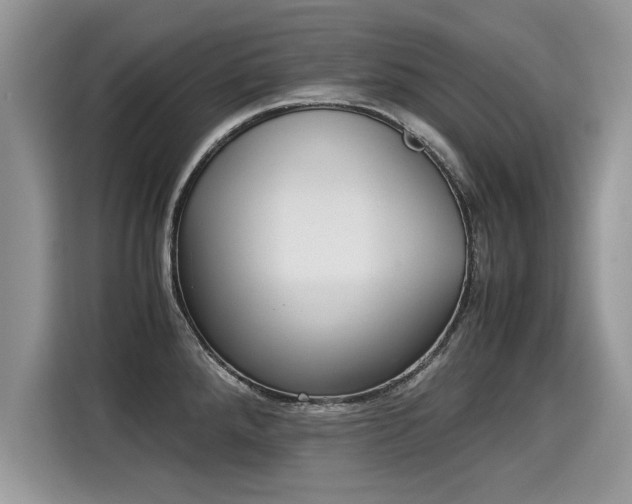 X0000115311288200911091129
