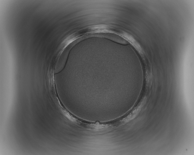 X0000115311289200911091129