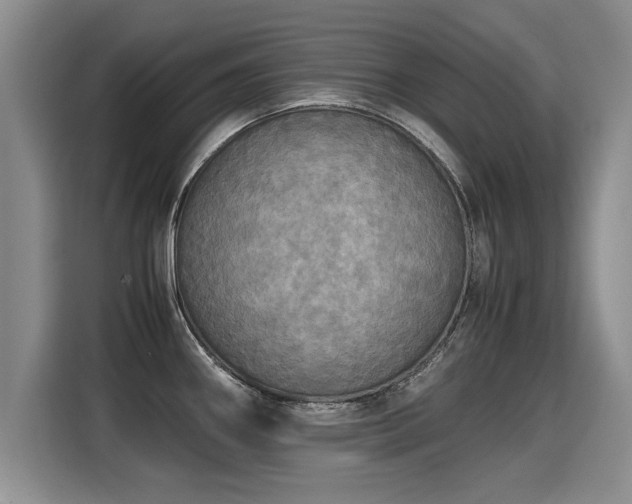 X0000115311290200911091129