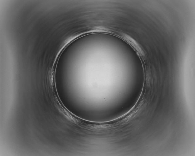 X0000115311292200911091129