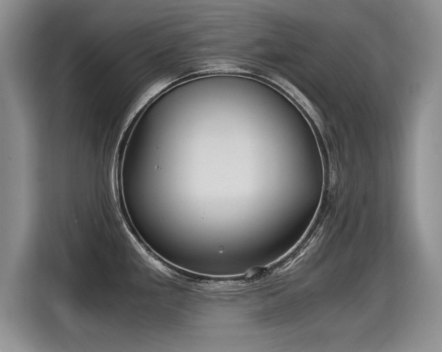 X0000115311293200911091129