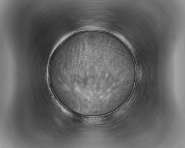 X0000115311294200911091129