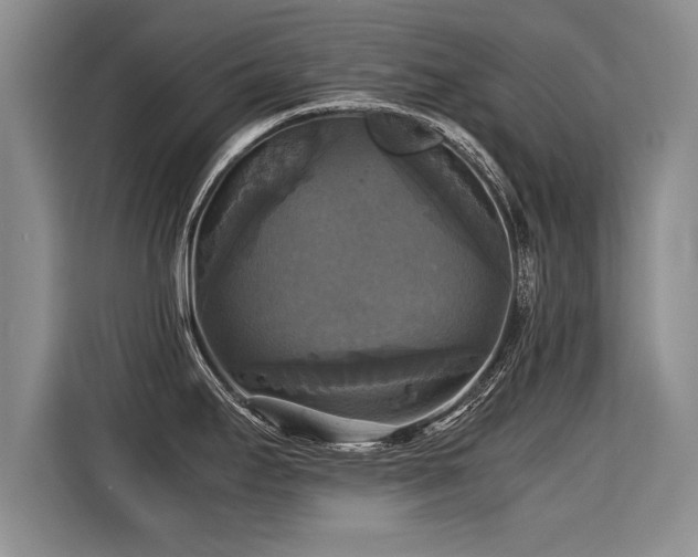 X0000115311295200911091129