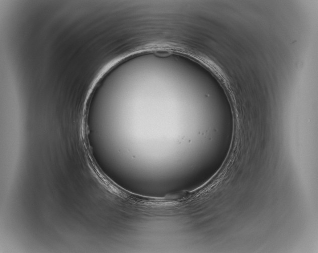 X0000115311296200911091129