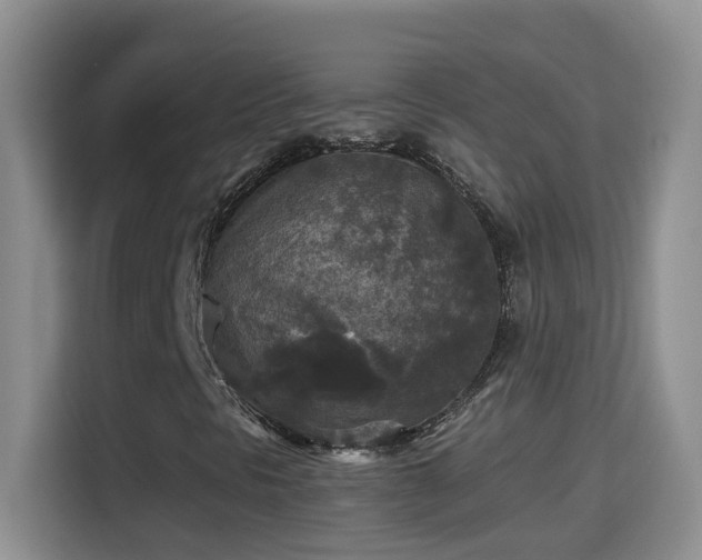 X0000115311297200911091128