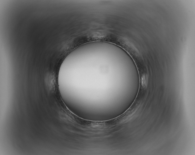 X0000115311299200911091128