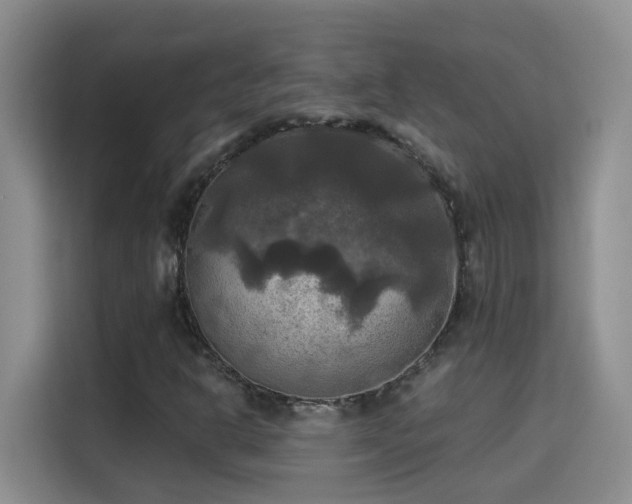 X0000115311302200911091129
