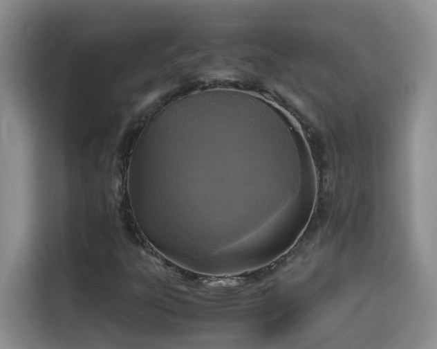 X0000115311303200911091129