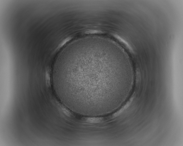 X0000115311305200911091129