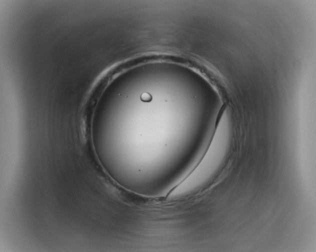 X0000115311310200911091129