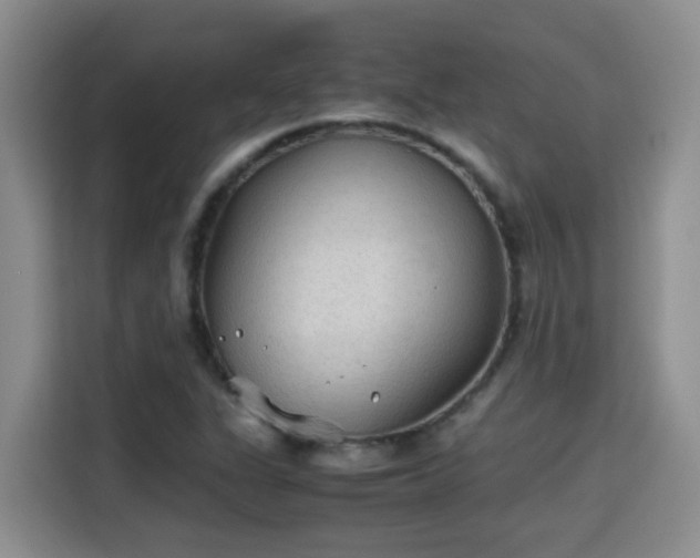 X0000115311311200911091129