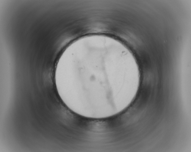 X0000115311314200911091129