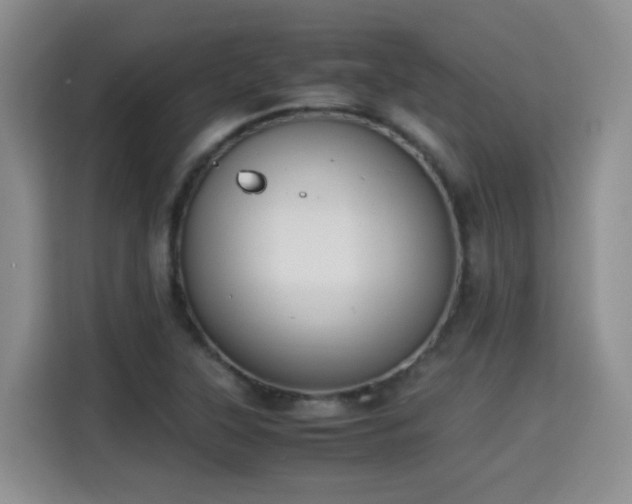 X0000115311315200911091129