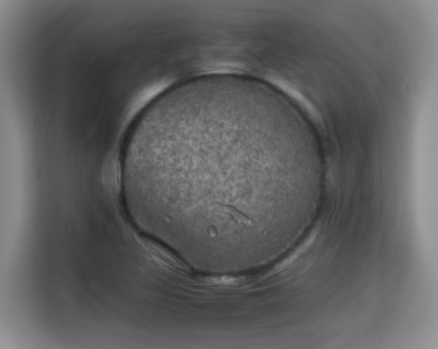 X0000115311317200911091129